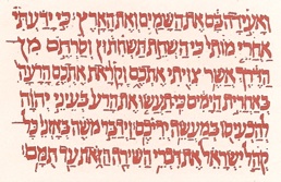 Hebrew Script